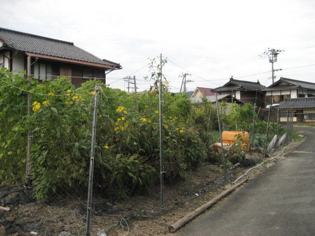 清田バス停　徒歩1分　土地面積:300平米 ( 90.75坪 )　